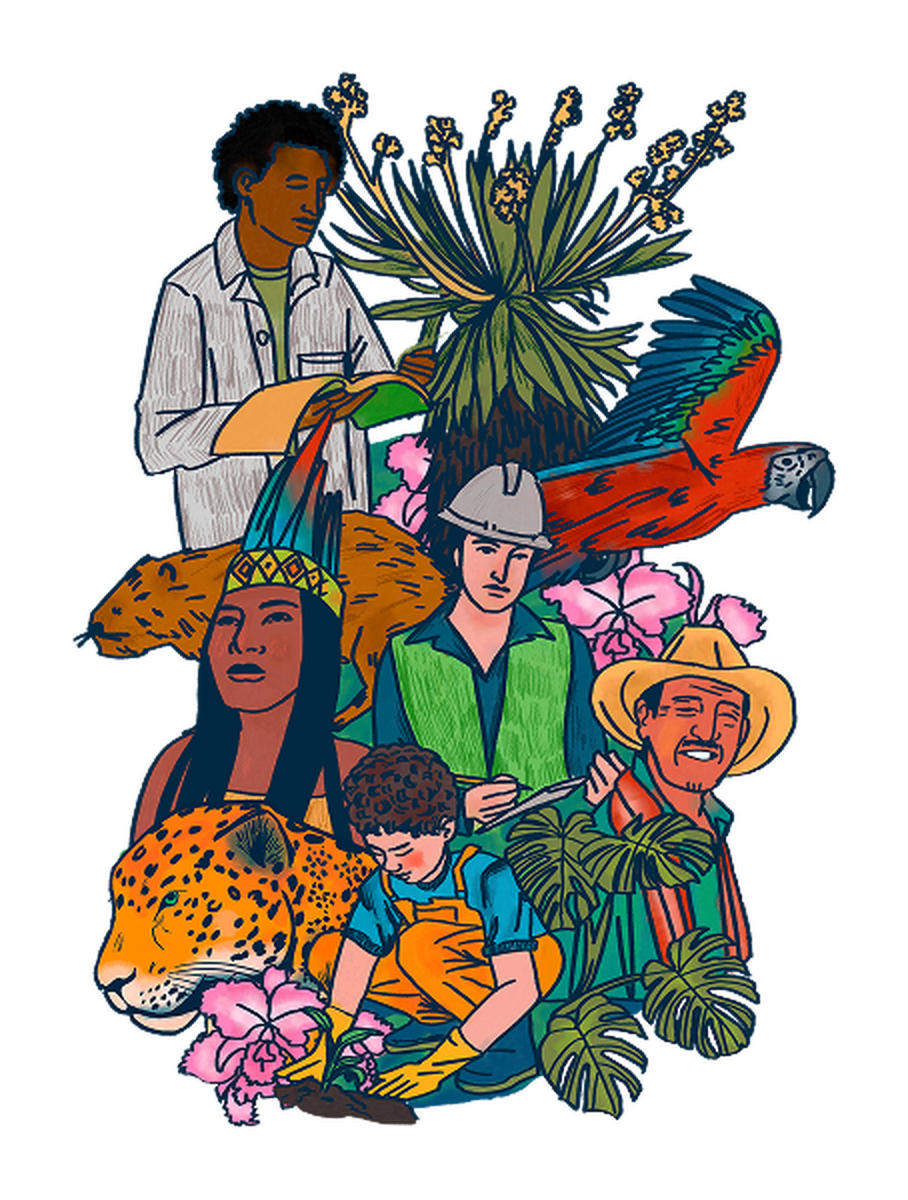 Ilustración de personas, plantas y fauna colombiana