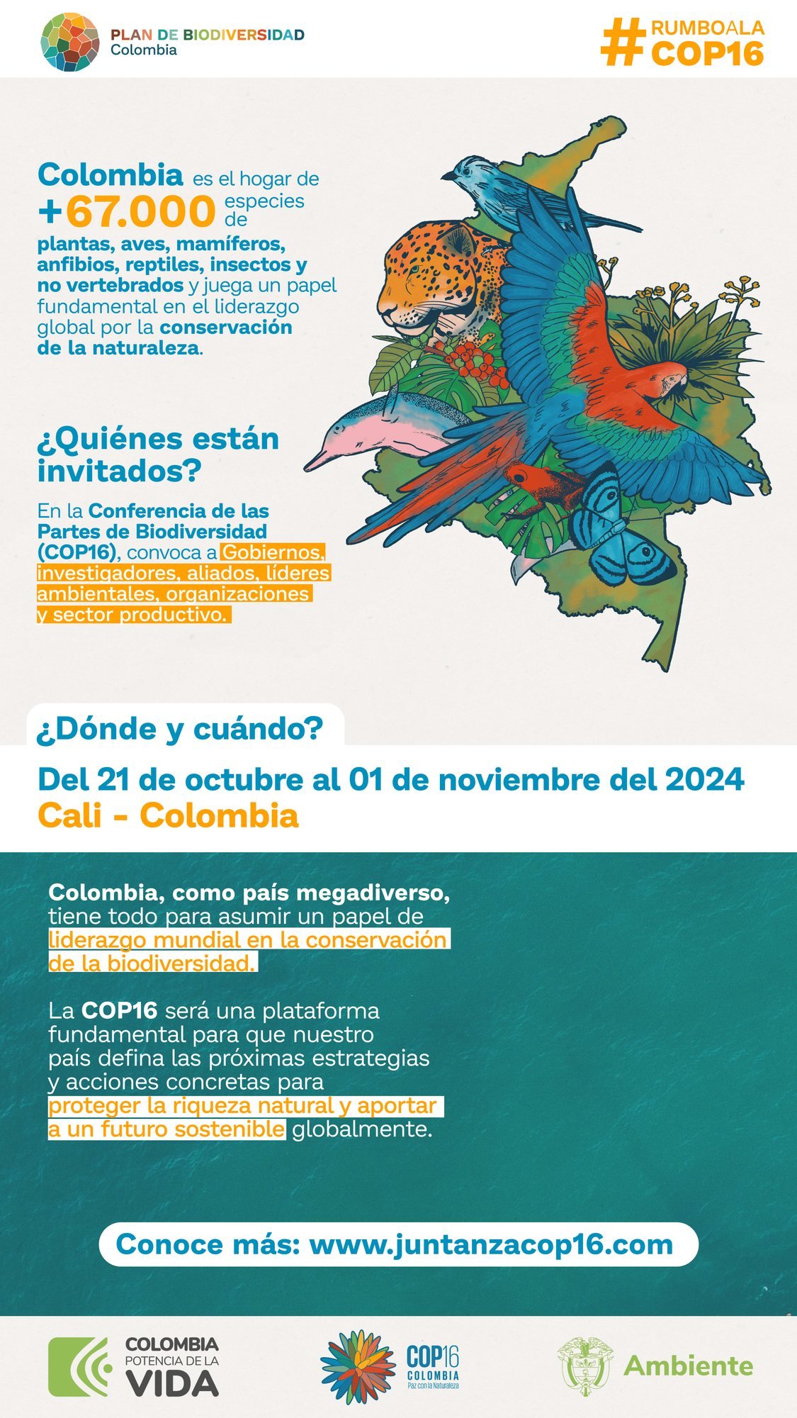 Infografía: Colombia es el hogar de más de 67.000 especies y la COP16 en Cali