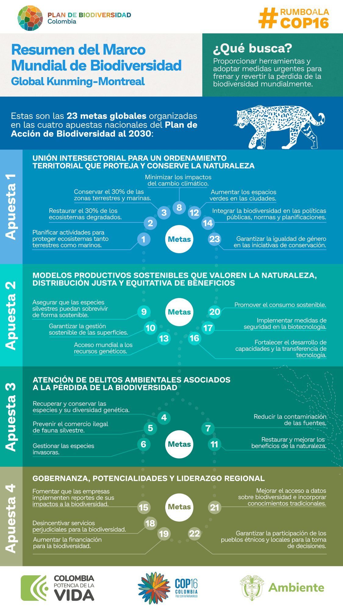 Infografía: Resumen del Marco Mundial de Biodiversidad Kunming-Montreal