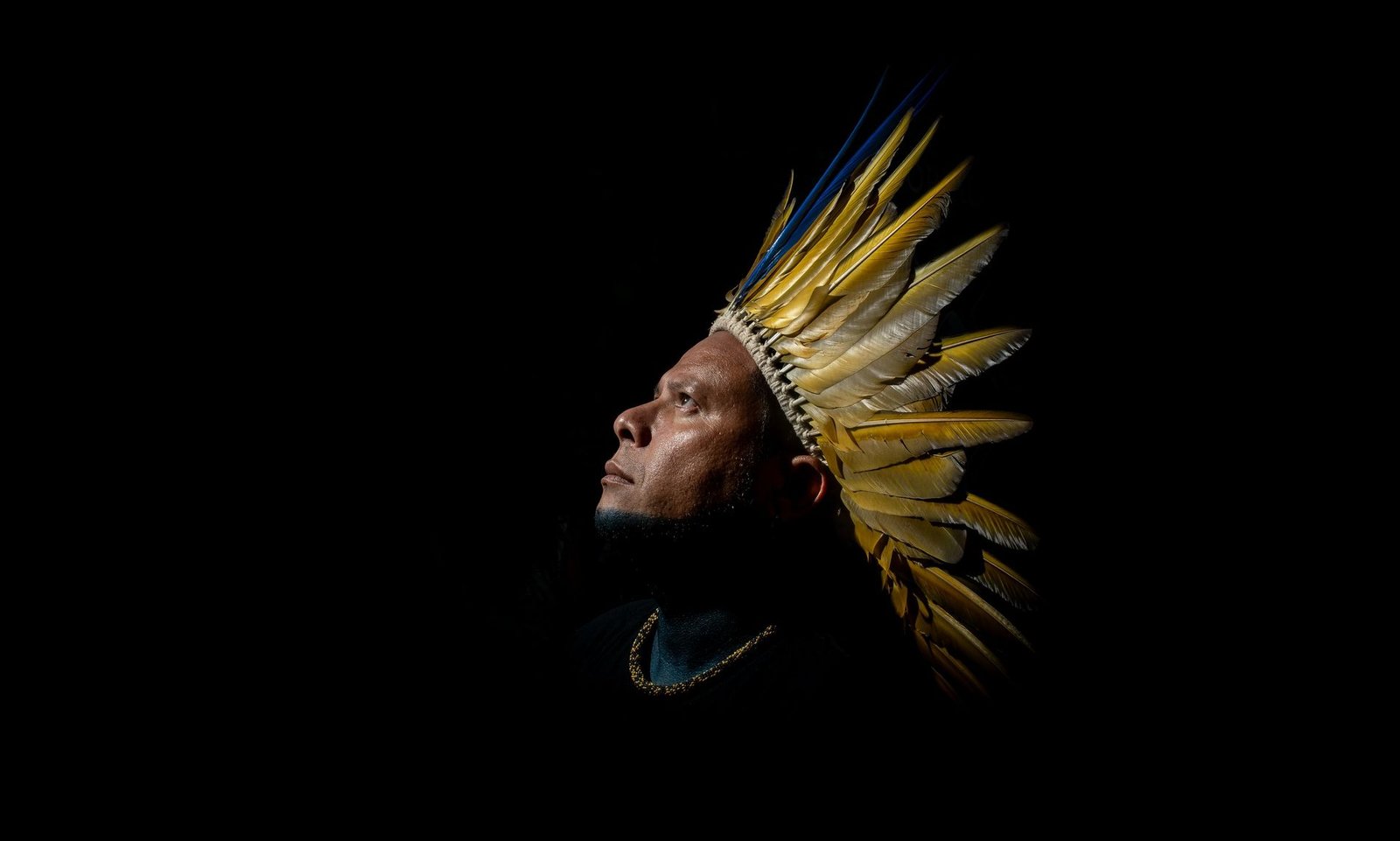 Retrato de un líder indígena con tocado de plumas amarillas y azules mirando hacia arriba