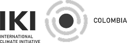 logo-iki-colombia-01 1